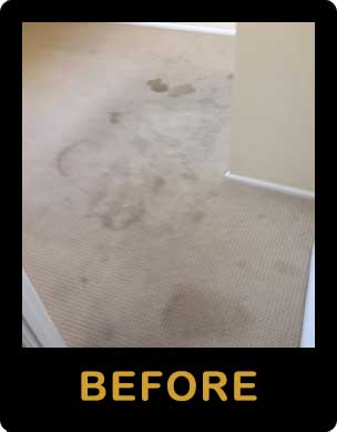 Carpet cleaning Caboolture